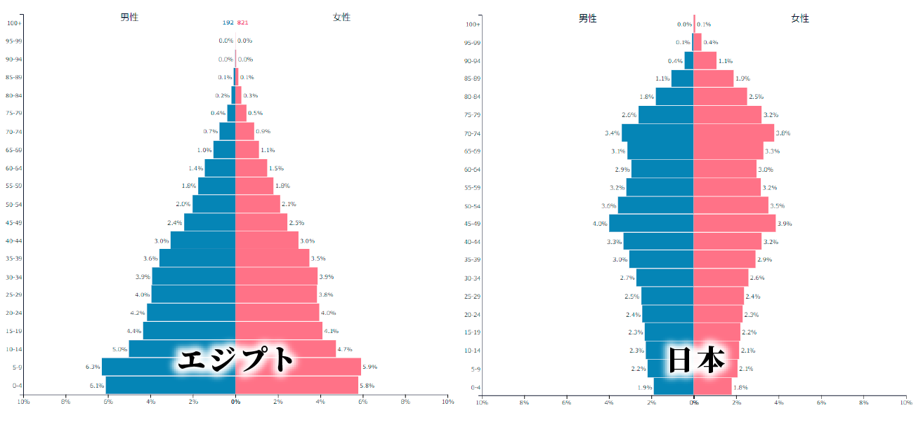 比較画像