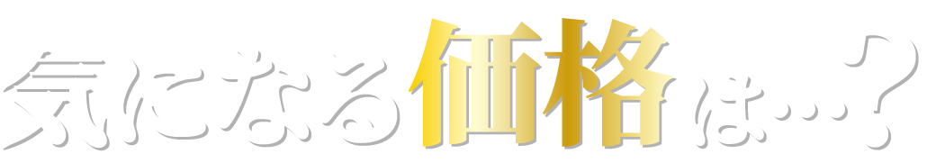 気になる価格は？